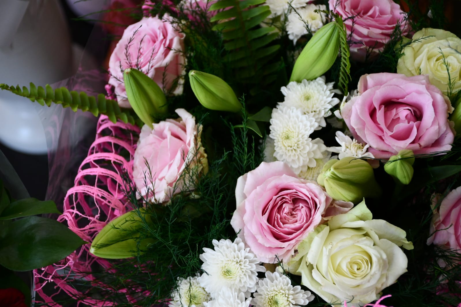 WhatsApp Image 2020-05-22 at 4.36.02 PM (2).jpeg.jpeg